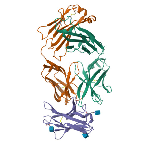 3D molecular structure of tislelizumab-jsgr (PDB entry 7CGW)