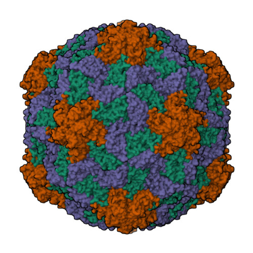 RCSB PDB - 7CHK: Cryo-EM Structure of Apple Latent Spherical Virus (ALSV)