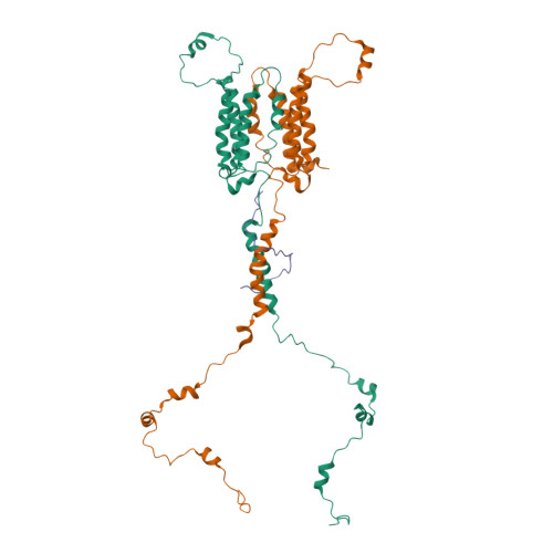 Mitochondrial import inner membrane translocase subunit TIM23 structure