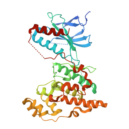 RCSB PDB - 7CML: The Crystal Structure Of Human JNK2 From Biortus.