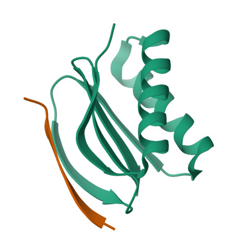 PDB 7CNU
