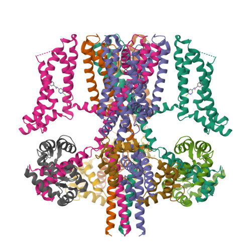 RCSB PDB - 7CR4: human KCNQ2-CaM in complex with ztz240