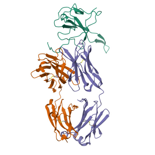 skdbページ RCSB PDB - 7CR5: Complex structure of a human monoclonal antibody