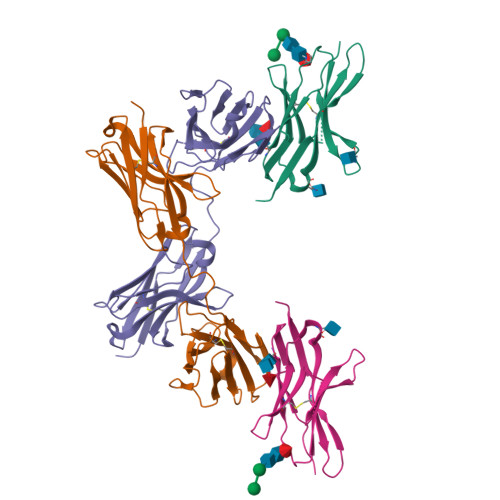 RCSB PDB - 7CU5: N-Glycosylation of PD-1 and glycosylation