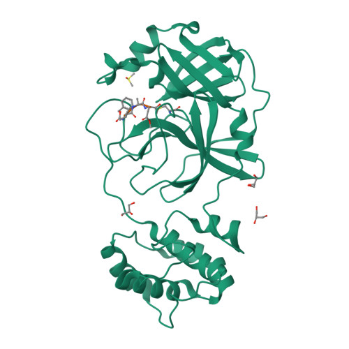 RCSB PDB - 7CUT: Crystal structure of the SARS-CoV-2 (COVID-19