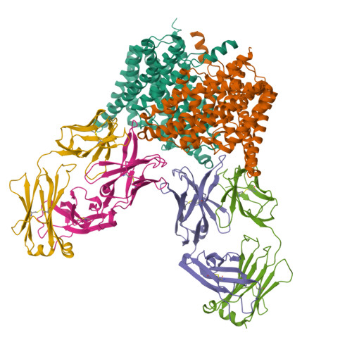 RCSB PDB - 7CVS: Crystal structure of the C85A/L194A mutant CLC