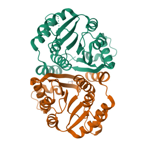 Comt Structure RCSB PDB - 7CVU: Crystal structure of Catechol o-methyl transferase ...