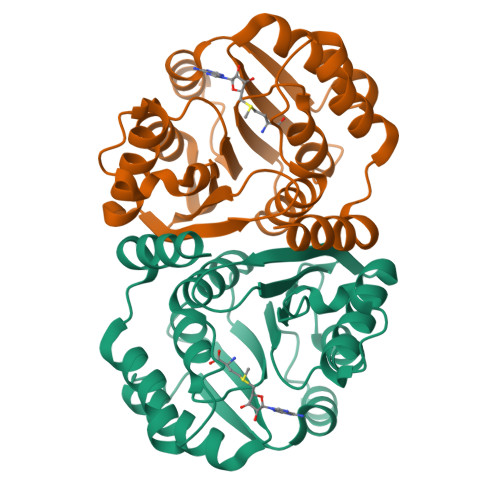 Comt Structure RCSB PDB - 7CVV: Crystal structure of Catechol o-methyl transferase ...