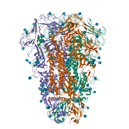 RCSB PDB - 7CYC: Cryo-EM structures of Alphacoronavirus spike