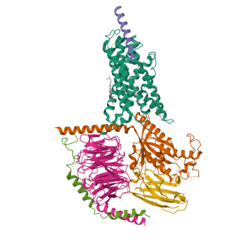 RCSB PDB - 7CZ5: Cryo-EM structure of the human growth