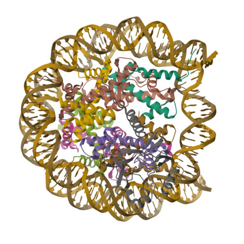 RCSB PDB - 7D1Z: Cryo-EM structure of SET8-nucleosome complex