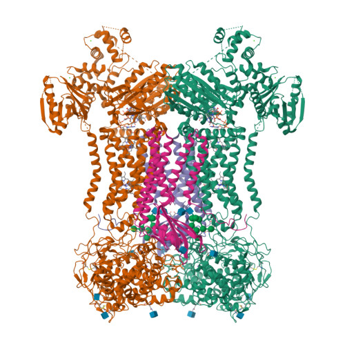 RCSB PDB - 7D3F: Cryo-EM structure of human DUOX1-DUOXA1 in