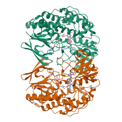 Tmm Compound RCSB PDB - 7D4M: Crystal structure of Tmm from strain HTCC7211 soaked ...