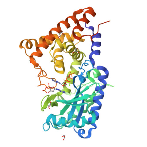 RCSB PDB - 7D4O: cyclic trinucleotide synthase CdnD in complex with ATP ...