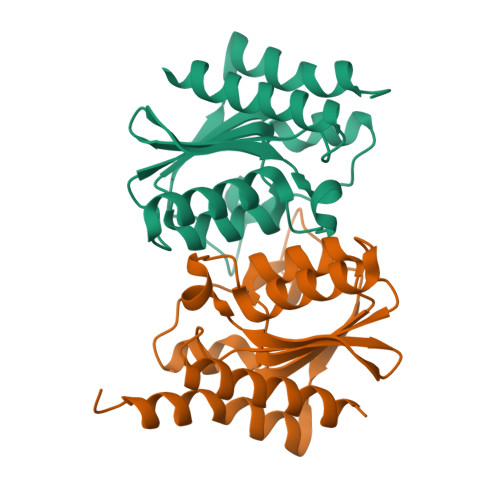 RCSB PDB - 7DBF: The structure of the Arabidopsis thaliana