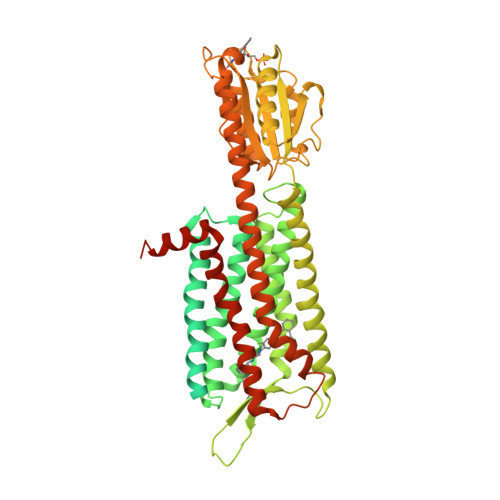RCSB PDB - 7DDZ: The Crystal Structure of Human Neuropeptide Y Y2 