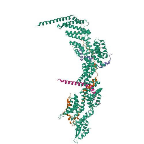 RCSB PDB - 7DKH: Crystal structure of the Ctr9/Paf1/Cdc73/Rtf1 ...