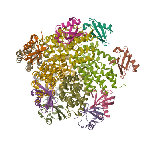 RCSB PDB - 7DNI: MDA5 CARDs-MAVS CARD polyUb complex