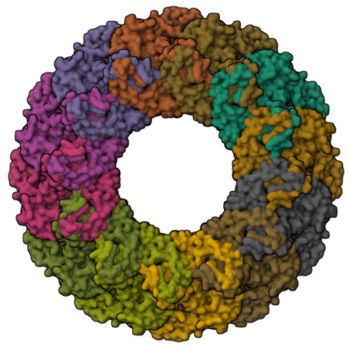 RCSB PDB - 7DOP: Structural insights into viral RNA capping and plasma ...