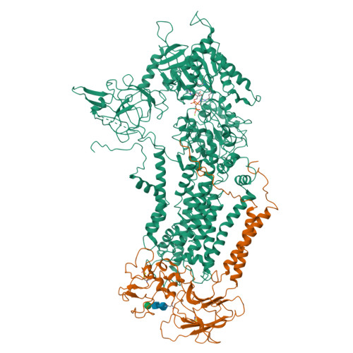 Rcsb Pdb Dsh Cryo Em Structure Of Dnf From Saccharomyces Cerevisiae In Ps With Amppcp E