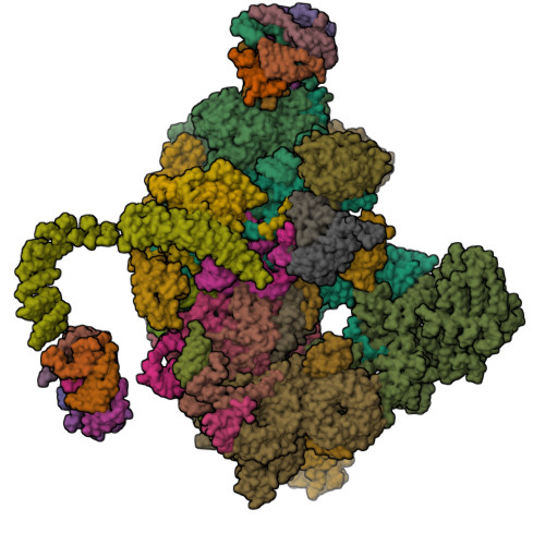 PDB 7DVQ