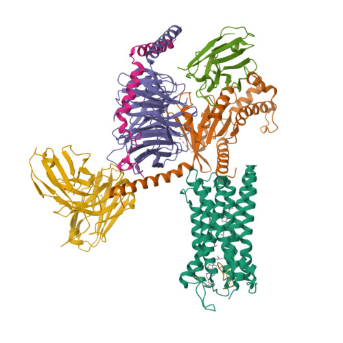 vasopressin structure