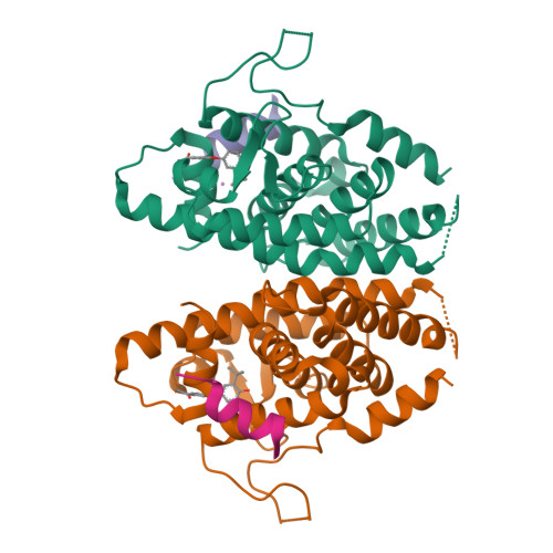 RCSB PDB - 7E2E: Crystal structure of the Estrogen-Related Receptor ...