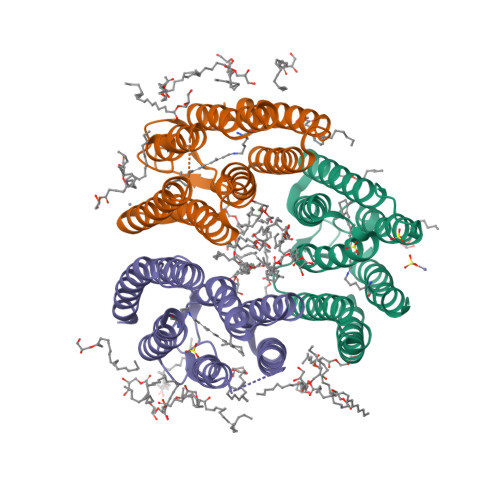 ゅ-ページ RCSB PDB - 7E4G: Crystal structure of schizorhodopsin 4