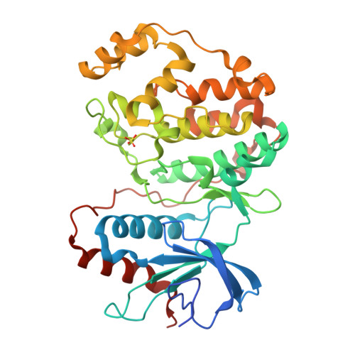 E.R.Kページ p-ERK 1/2 Antibody (12D4) | SCBT - Santa Cruz Biotechnology