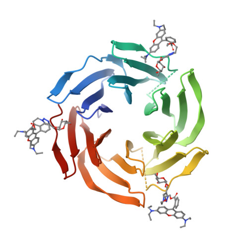 RCSB PDB - 7E7T: Crystal structure of RSL mutant in complex with sugar ...