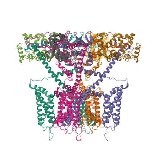 RCSB PDB - 7E84: CryoEM structure of human Kv4.2-KChIP1 complex