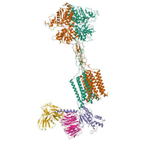 PDB 7E9H