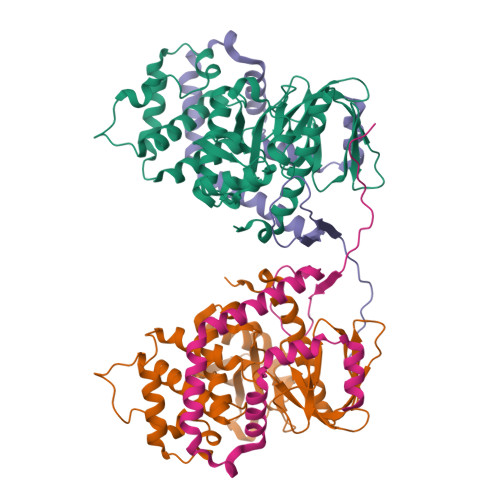 RCSB PDB - 7EDR: The crystal structure of the FERM and C-terminal ...
