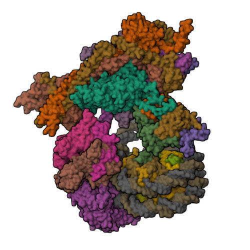 RCSB PDB - 7EGP: The structure of SWI/SNF-nucleosome complex