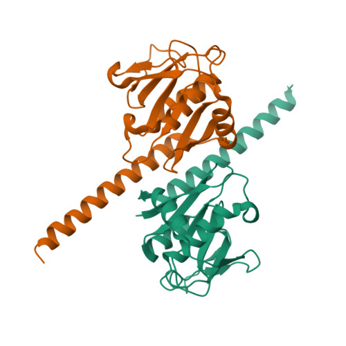 PDB 7EOE