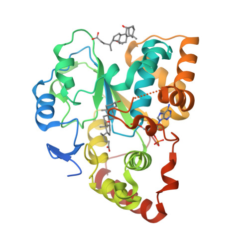 RCSB PDB - 7EOV: Crystal structure of mouse cytosolic sulfotransferase ...