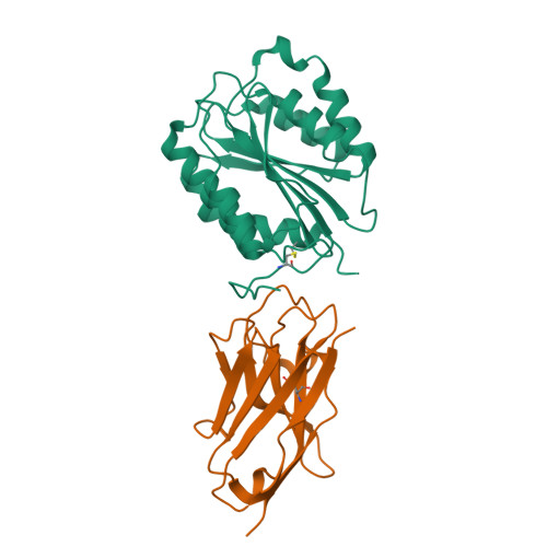 3D molecular structure of caplacizumab-yhdp (PDB entry 7EOW)