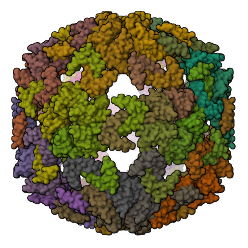 ビックシールドガードナーPSA9 Amazon.com : Exmark 109-7615-01 Foot Deck Lift Weldment