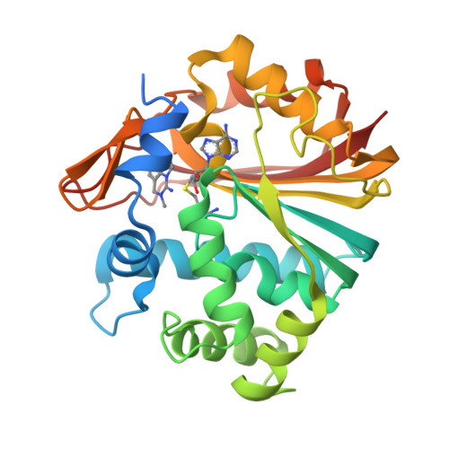 RCSB PDB - 7ET7: Co-crystal structure of Human Nicotinamide N ...