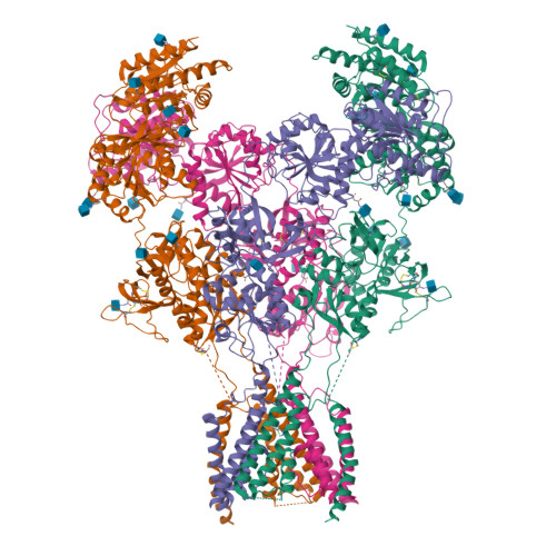 RCSB PDB - 7EU7: Structure of the human GluN1-GluN2A NMDA receptor in ...