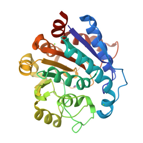 Rcsb Pdb 7euq Crystal Structure Of C86h Y124n G126h H196s Mutant Of Nomega Hydroxy L 9539