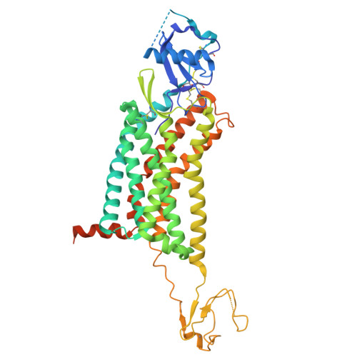 RCSB PDB - 7F1T: Crystal structure of the human chemokine receptor CCR5 ...