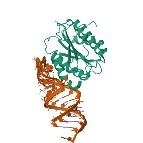 RCSB PDB - 7F49: von Willebrand factor (VWF) A1 domain with BT-100 ...