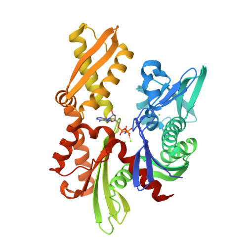 RCSB PDB - 7F50: X-ray crystal structure of Y149A mutated Hsp72
