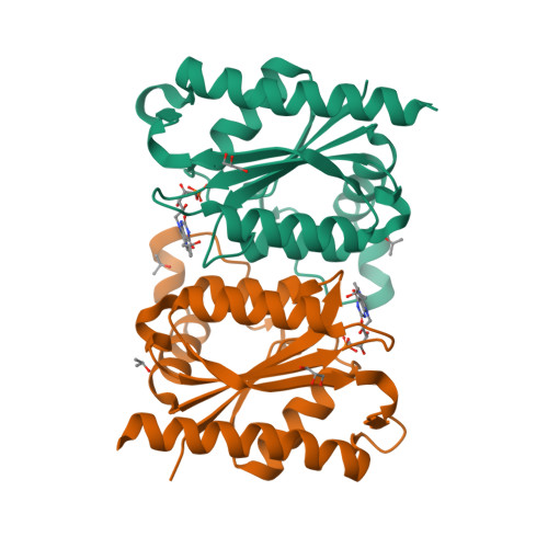RCSB PDB - 7F76: Crystal Structure of FMN-dependent NADPH-quinone
