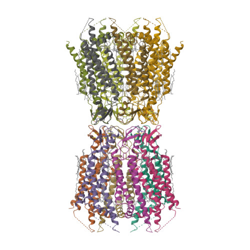 RCSB PDB - 7F93: Structure of connexin43/Cx43/GJA1 gap junction 