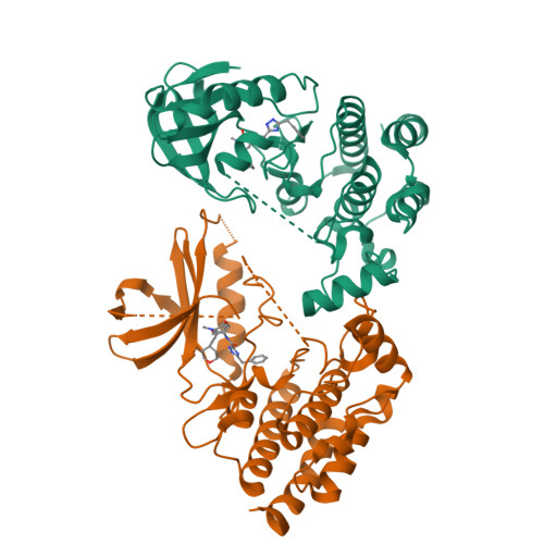 RCSB PDB - 7FD0: Crystal Structure of human RIPK1 kinase