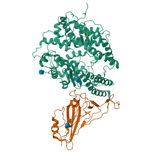 Fdk Assembly RCSB PDB - 7FDK: SARS-COV-2 Spike RBDMACSp36 binding to mACE2