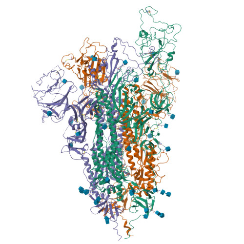 RCSB PDB - 7FET: SARS-CoV-2 B.1.1.7 Spike Glycoprotein trimer