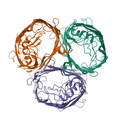 RCSB PDB 7FF7 Structure Of OmpF2